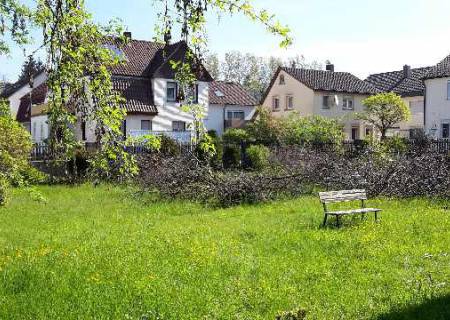 Grundstück von Süden in Richtung Osten Grundstück von Süden in Richtung Osten